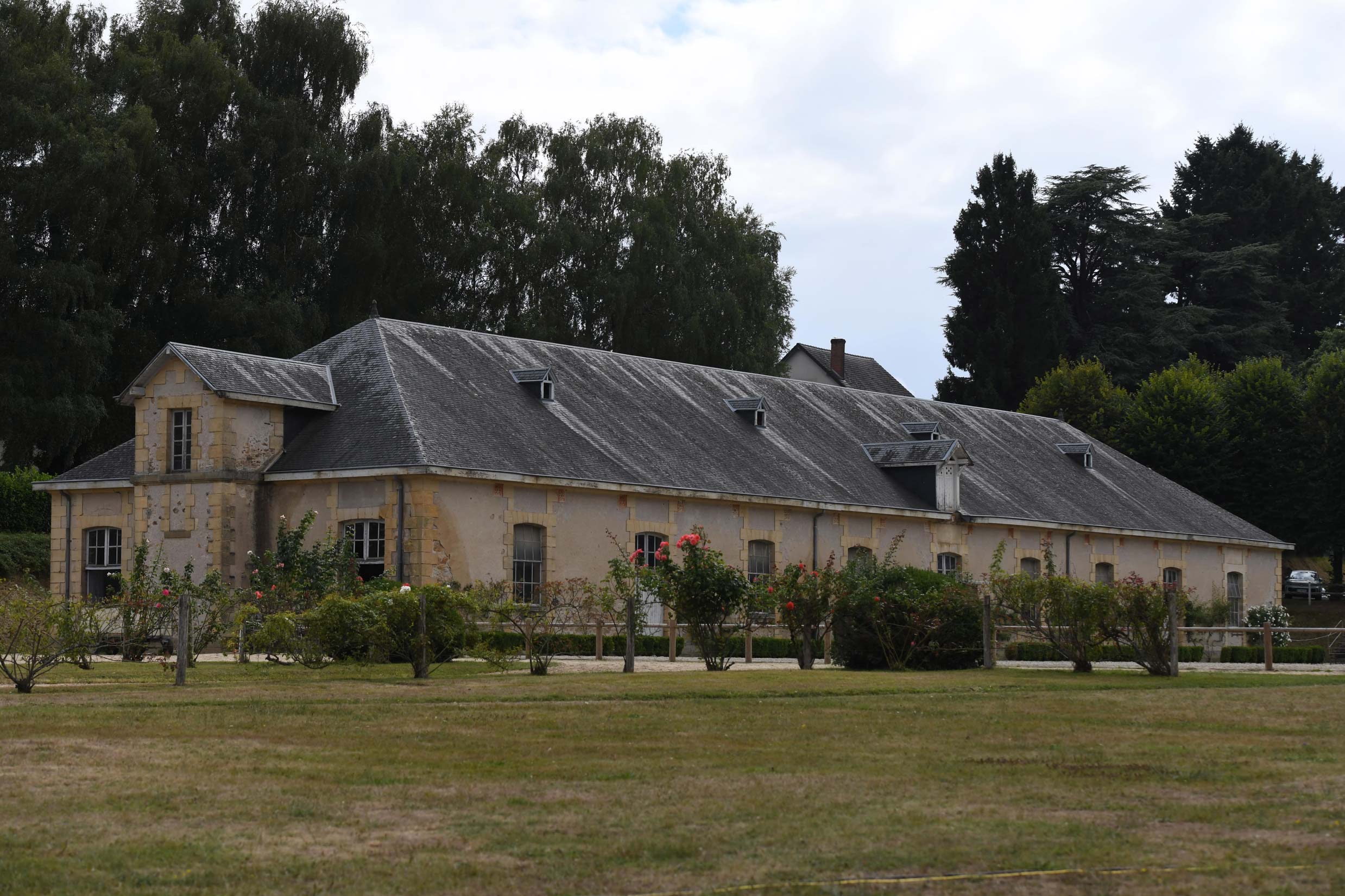Impressionen-Gestuet