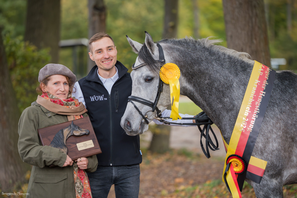 Kranichstein Hengstkörung