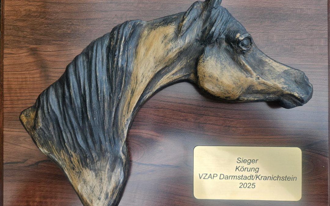 Kranichstein Hengstkörung Oktober 2025